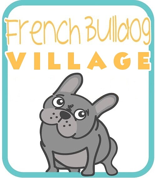 french bulldog village rescue adoption