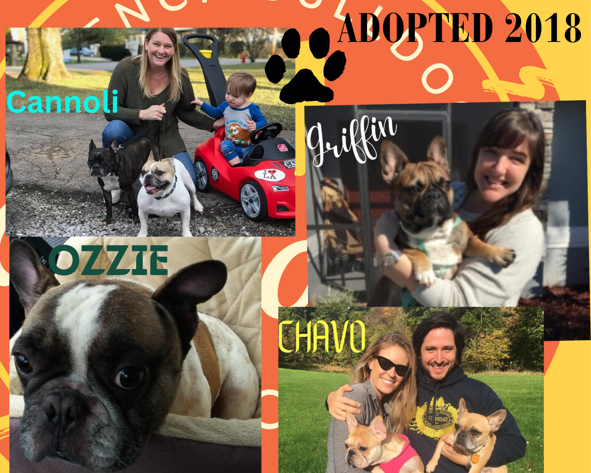 2018 Adopted dogs 6