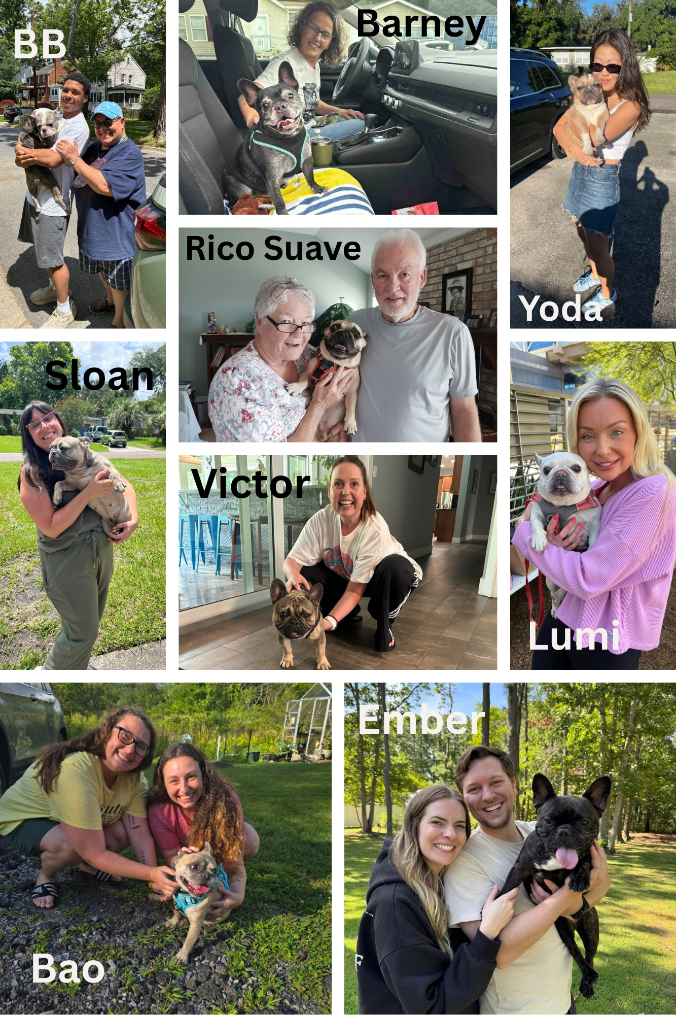 May-August 2025 Adoptions1