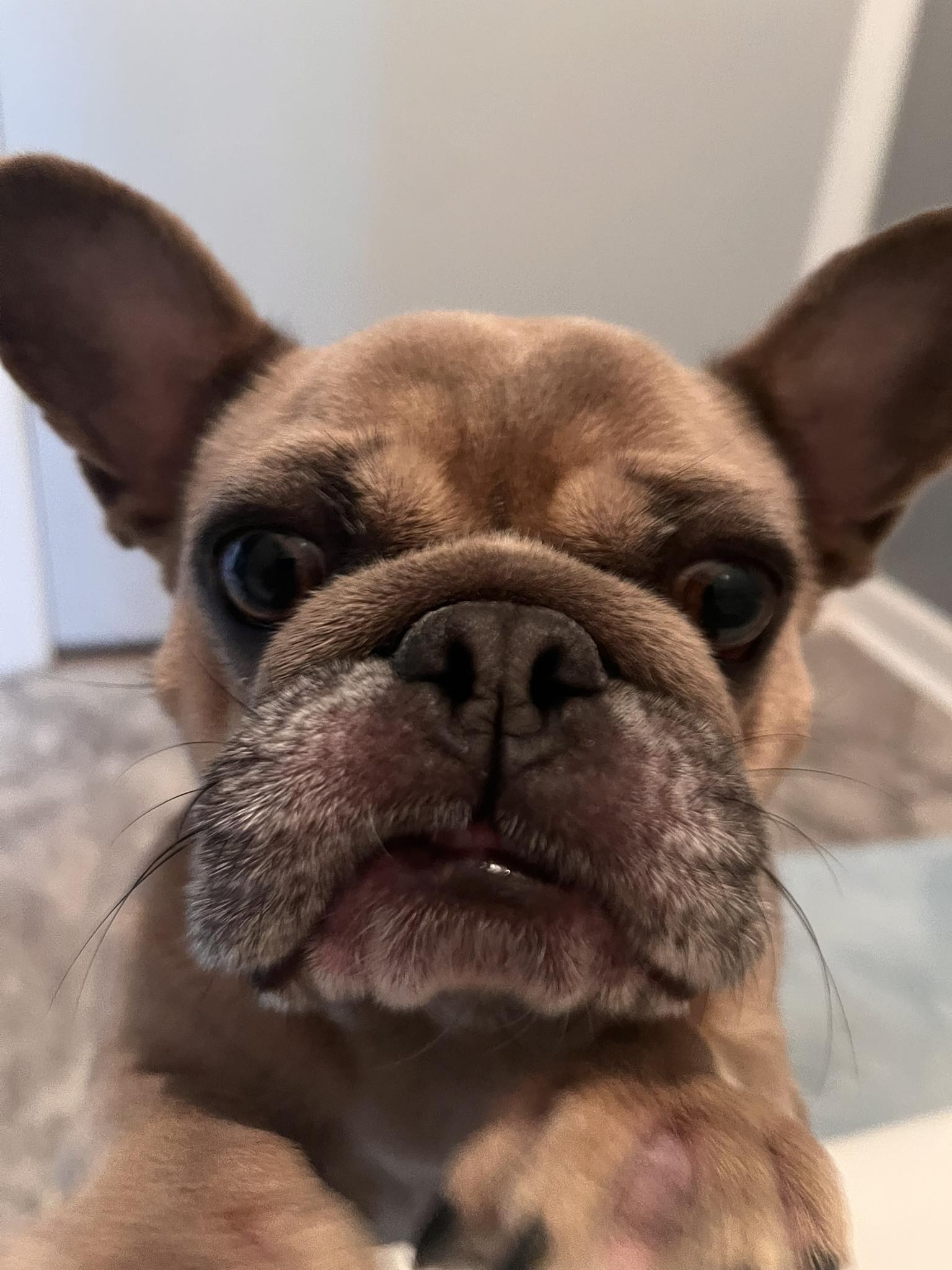 JessieButtersavailable4