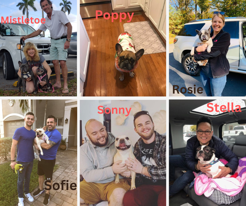 2019 adoptions 3