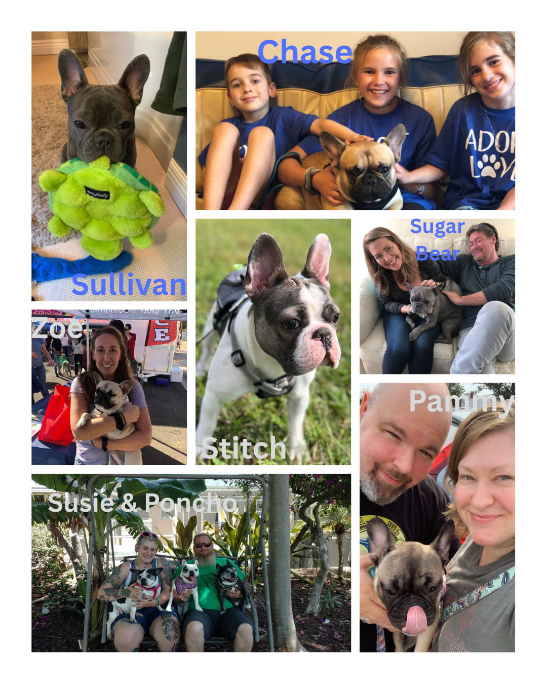 2019 adoptions 4
