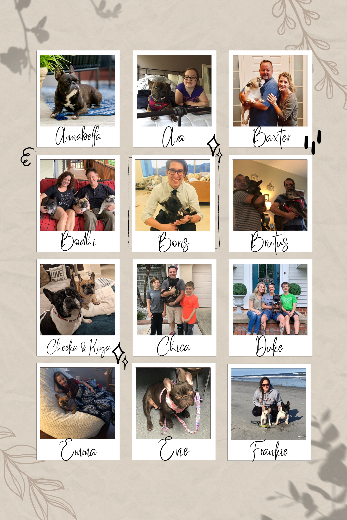2019 adoptions
