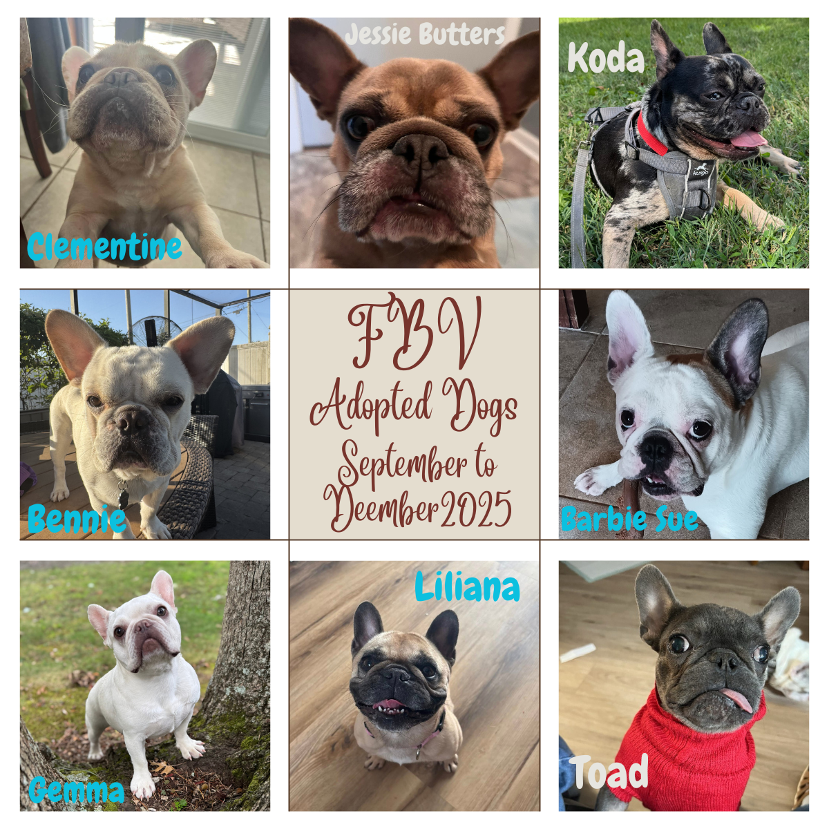 September-December 2025