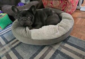 Buddyavailable5