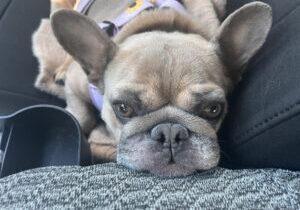 JessieButtersavailable1